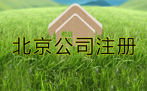 怎么注冊一個北京一人有限公司？